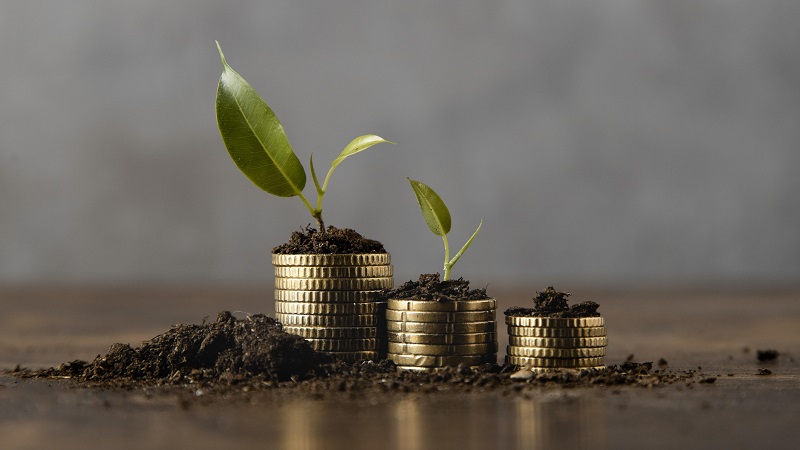 Retirement Wealth Projection